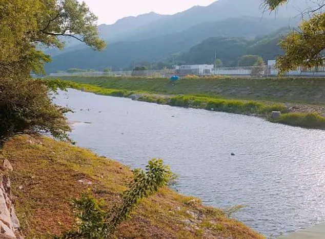 이동강변갈비