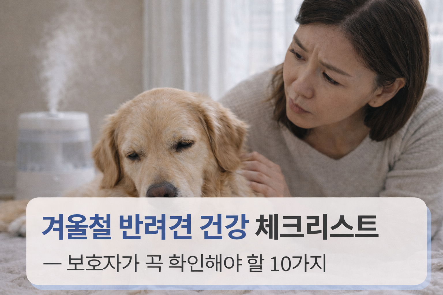 alt="겨울철 실내에서 강아지를 바라보는 보호자"