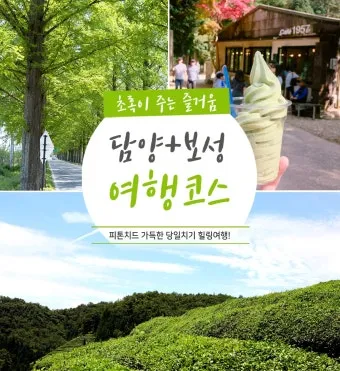 담양 여행코스 추천 죽녹원 포함 여름 힐링 코스 안내_13