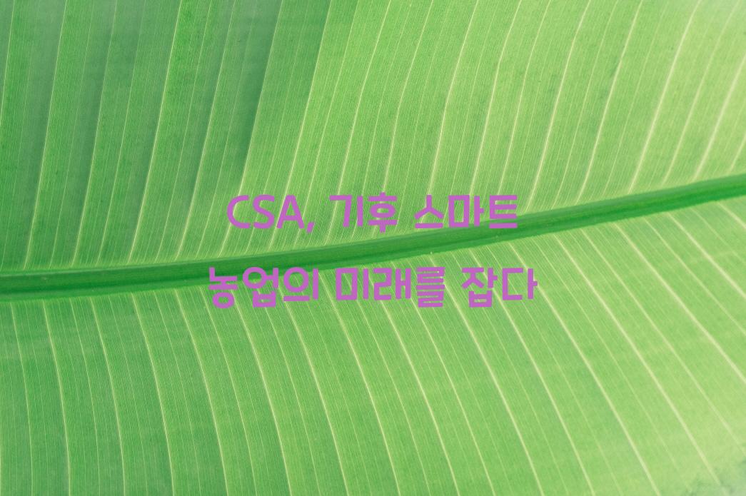 CSA