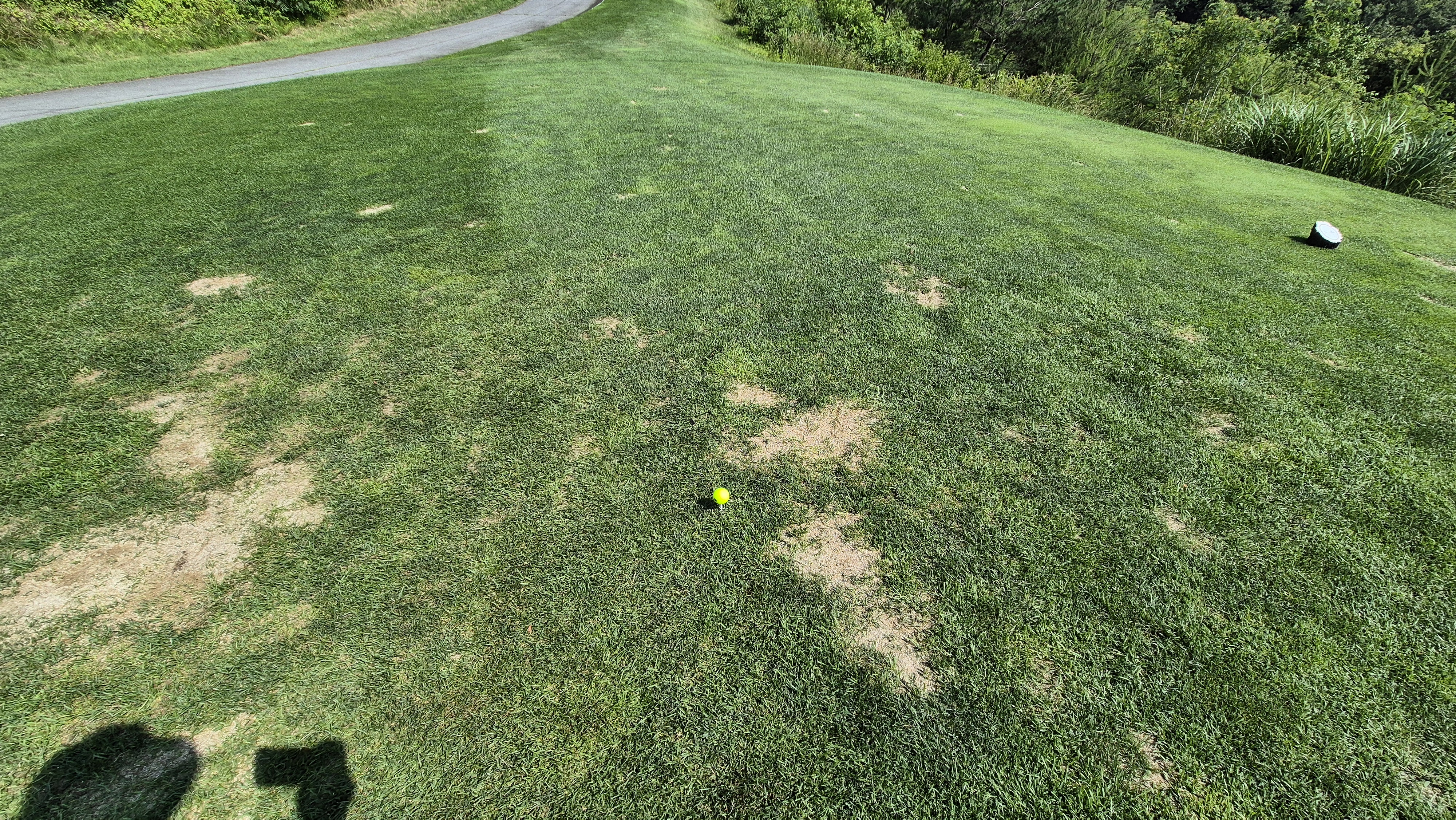 샤인데일cc 라운드 후기