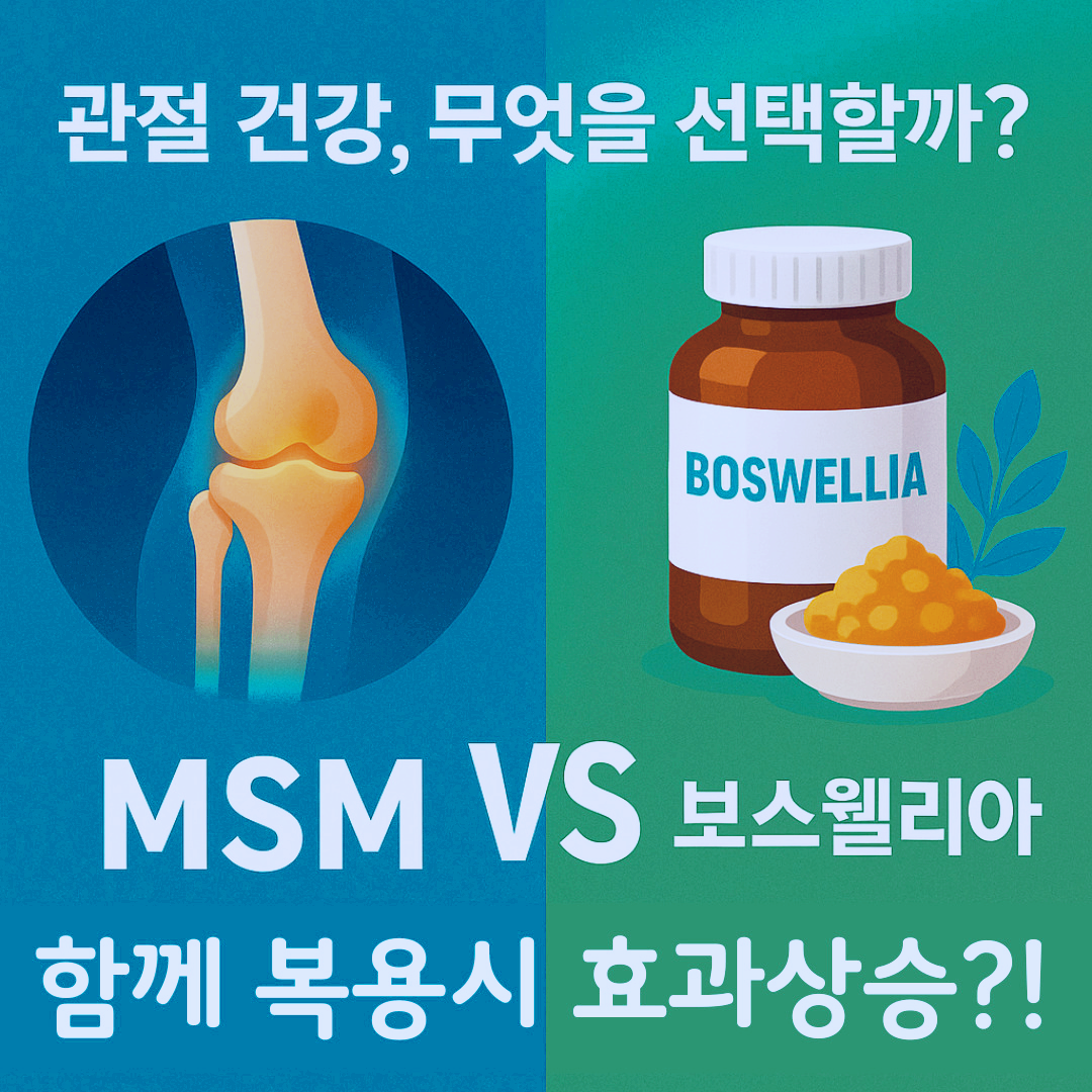MSM VS 보스웰리아
함께 복용시 효과상승?!