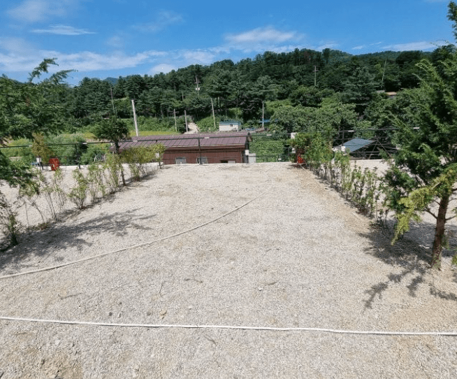 경기-포천-다올숲캠핑장-사진-입니다.