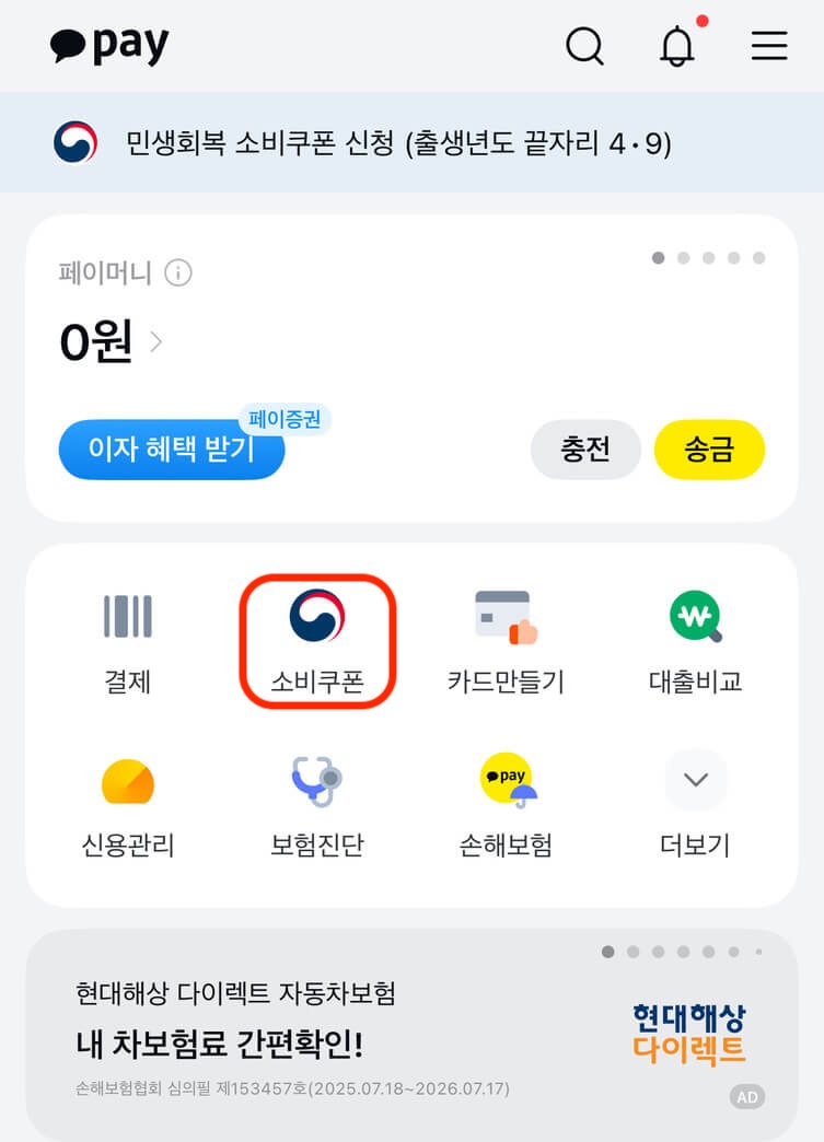 카카오페이 전체화면