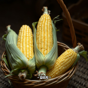 초당옥수수 효능