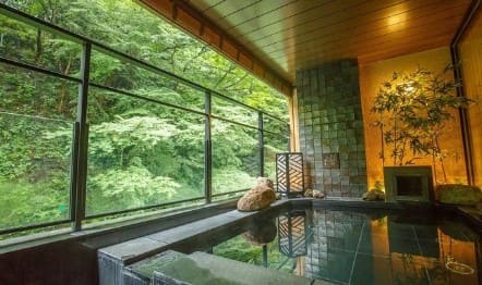 노천탕이 있고 밖으로 푸른 나무들이 보인다.