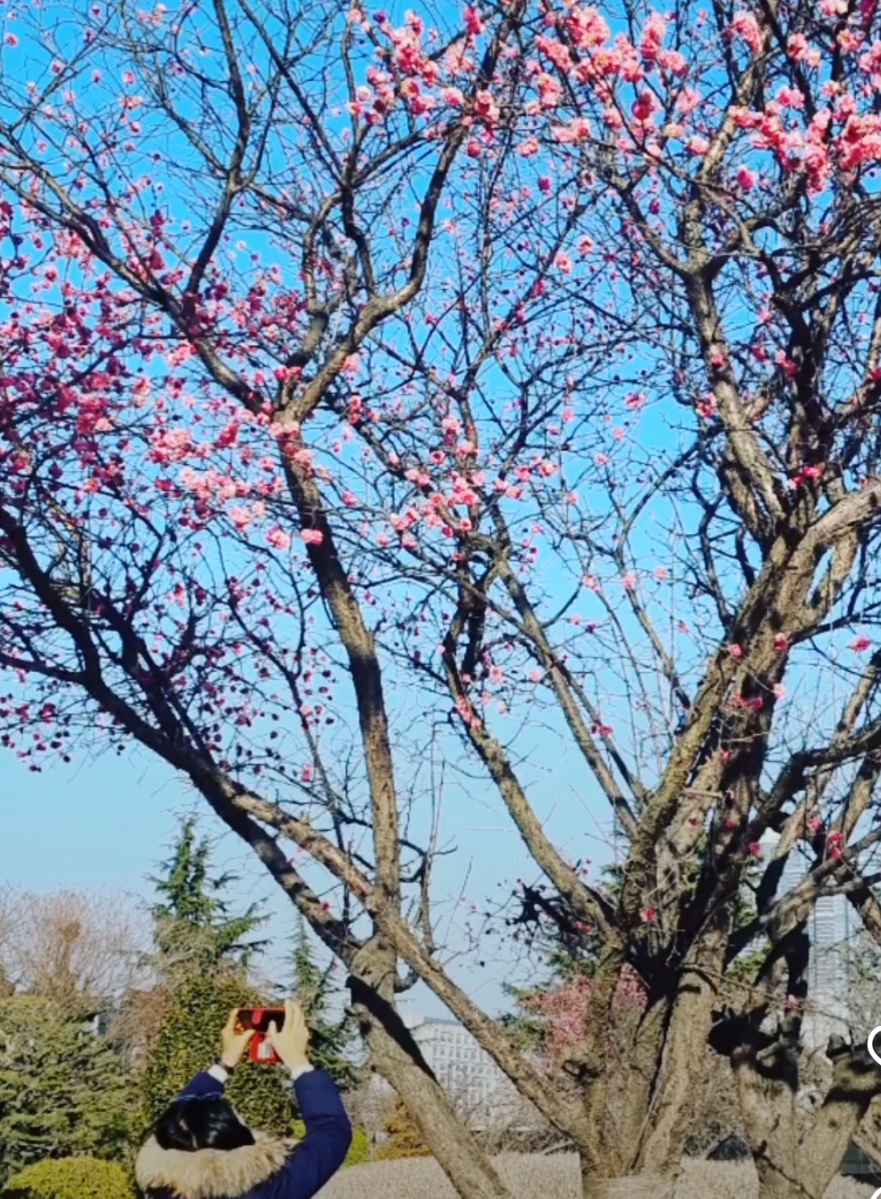 유엔기념공원