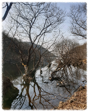살목지