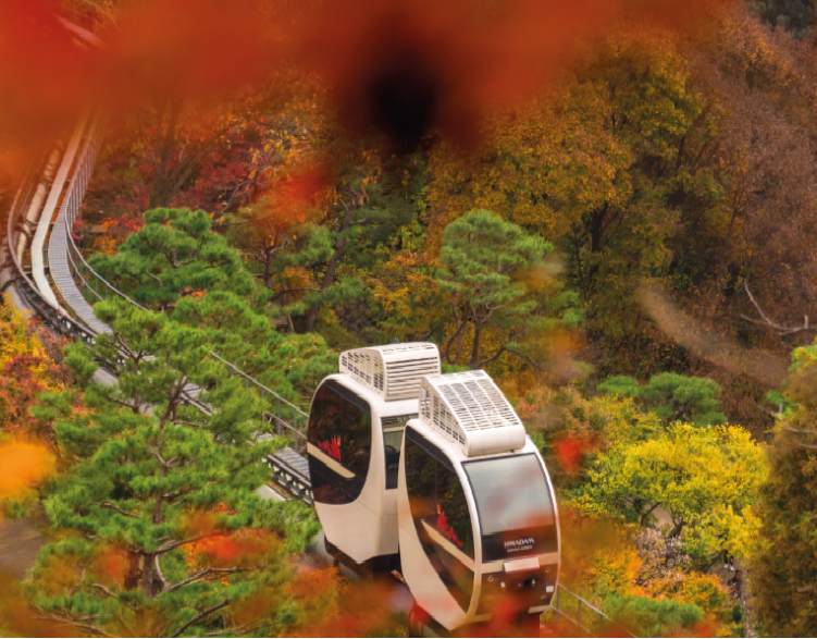 2024 화담숲 가을 단풍