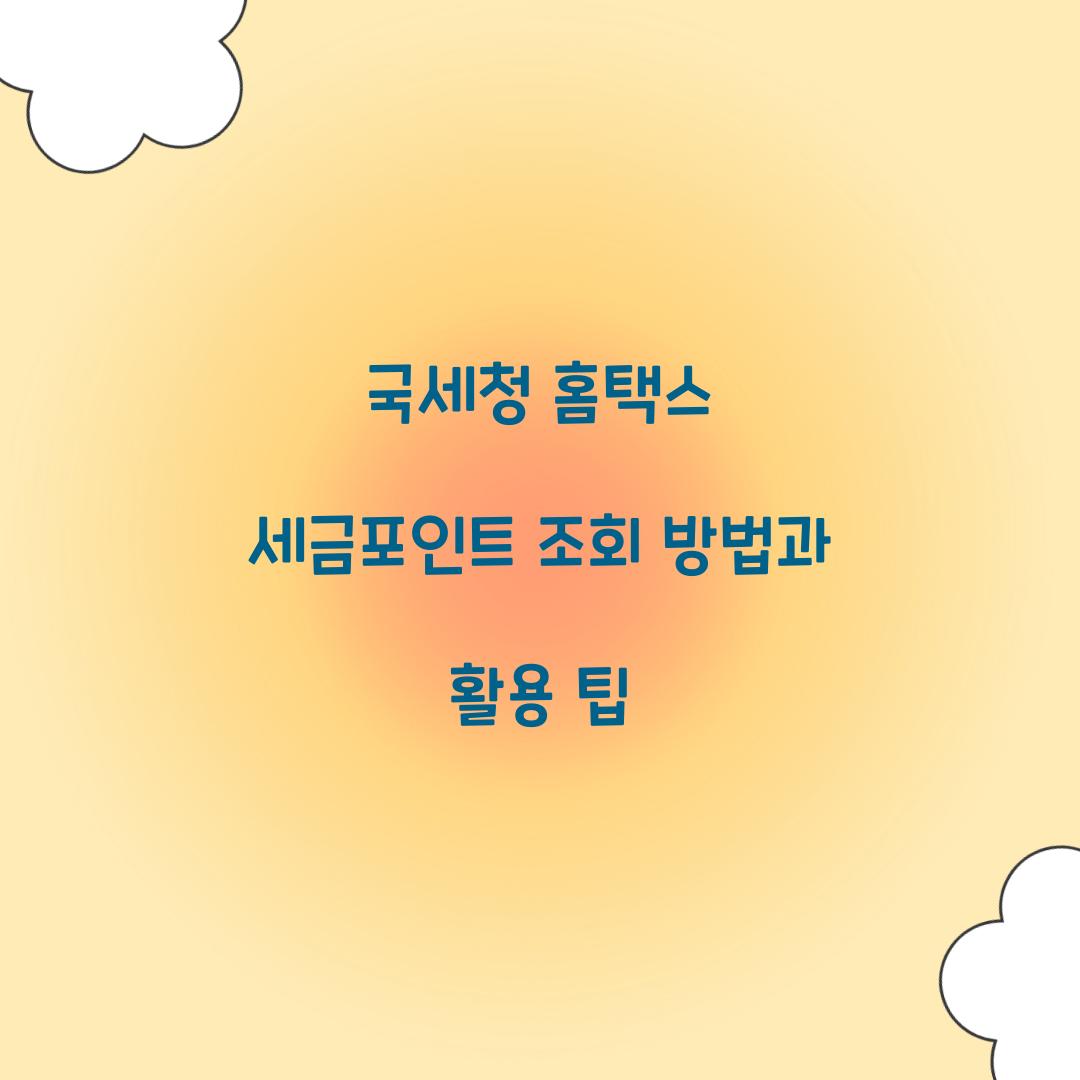 국세청 홈택스 세금포인트 조회