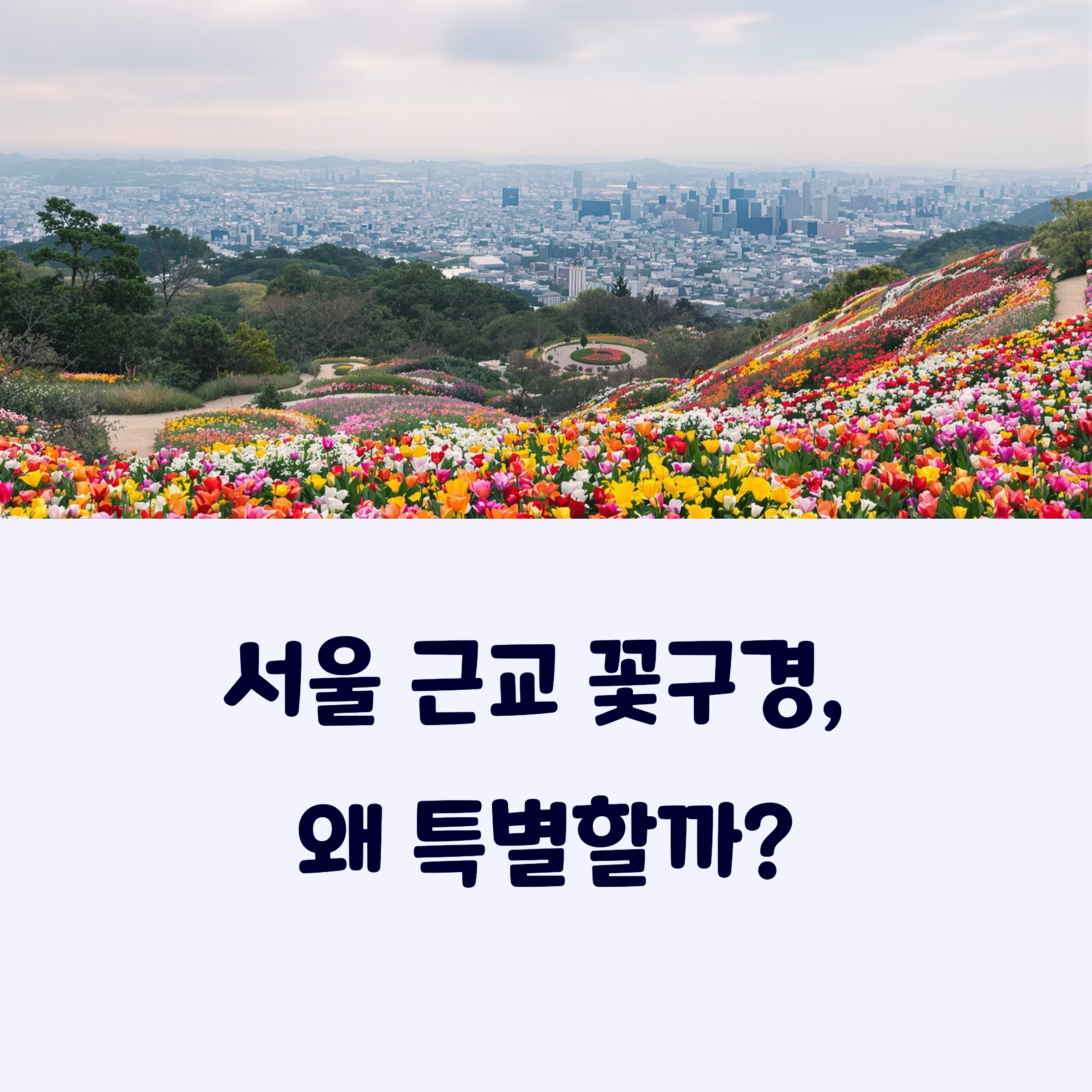 서울근교꽃구경