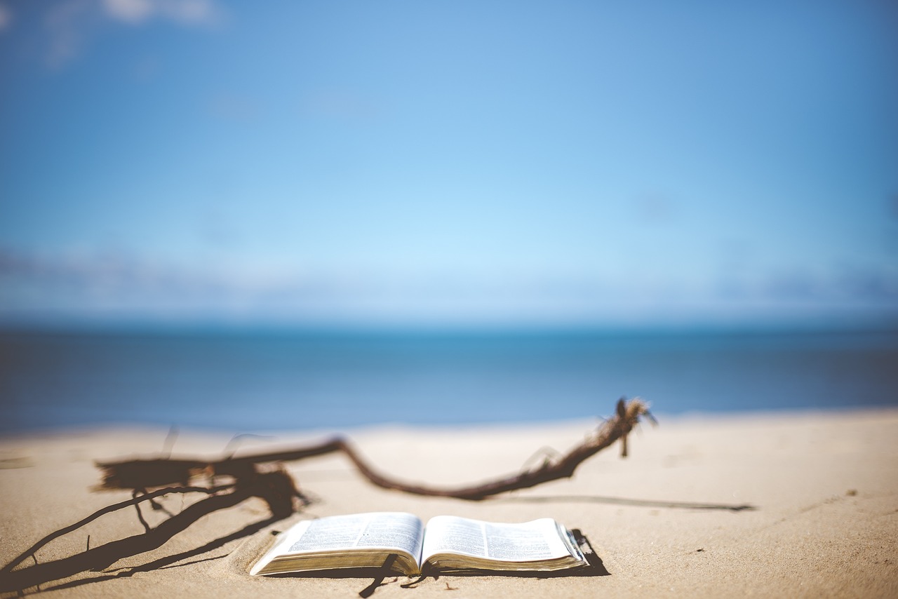 MBTI 유형별 국내 Workcation 추천: 일도 잘되고 힐링도 되는 국내 여행지