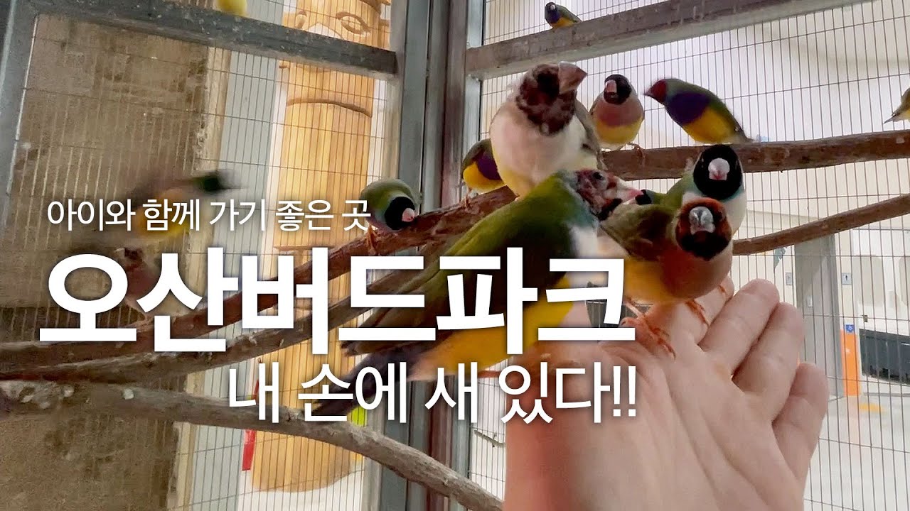 오산 가볼만한곳 - 오산버드파크