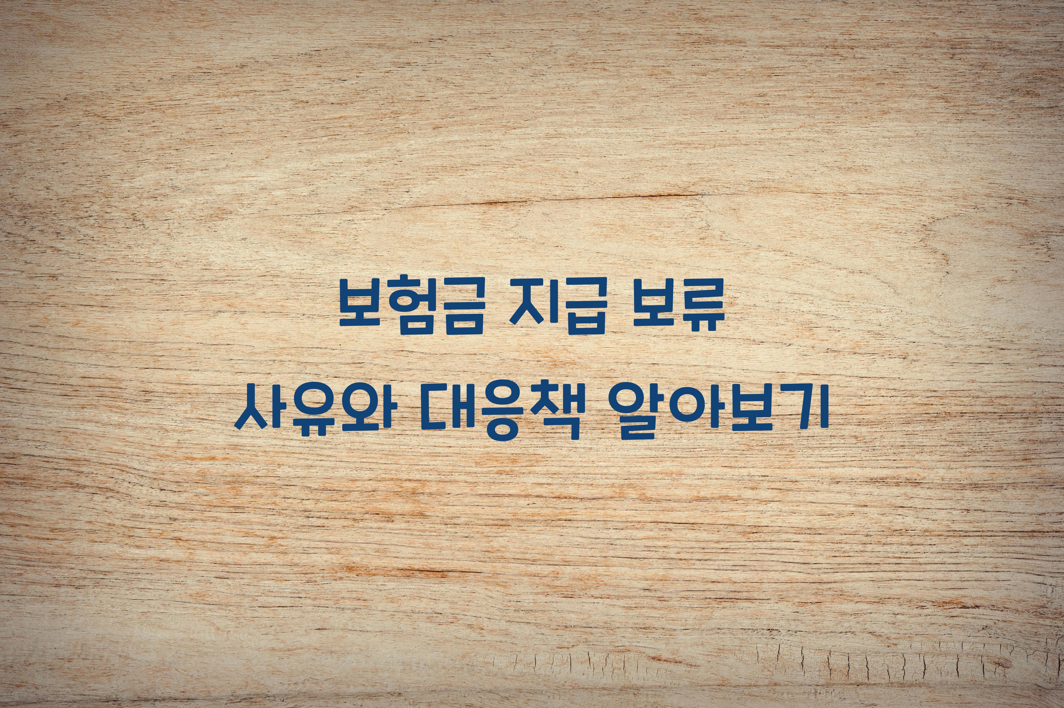 보험금 지급 보류 사유