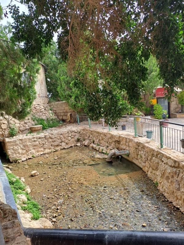 이스라엘 여행 엘리사샘