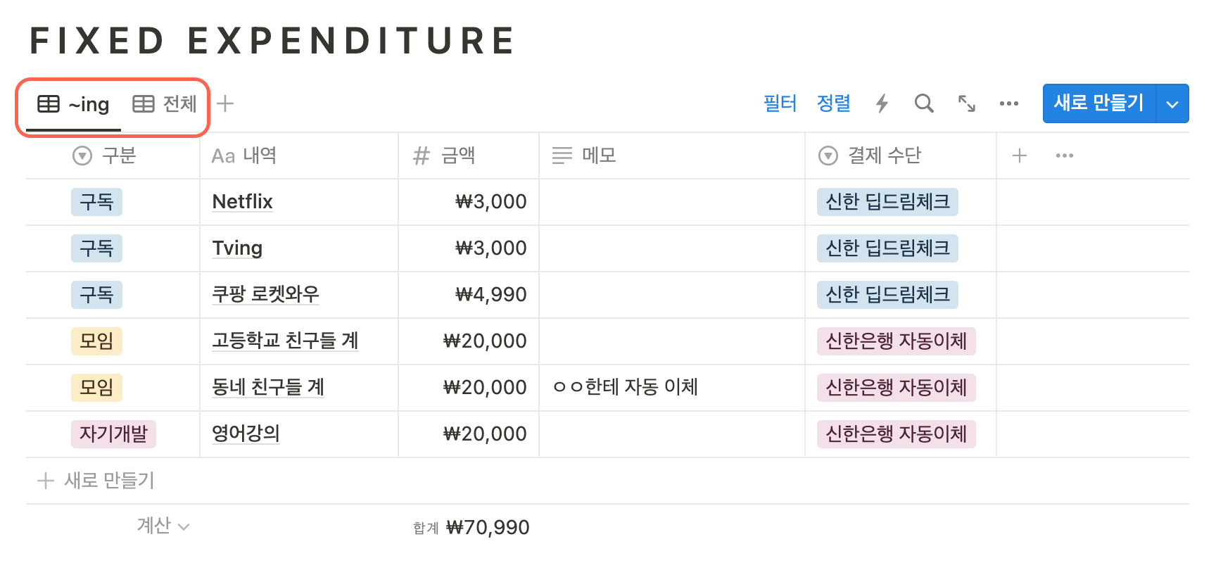 노션지출관리