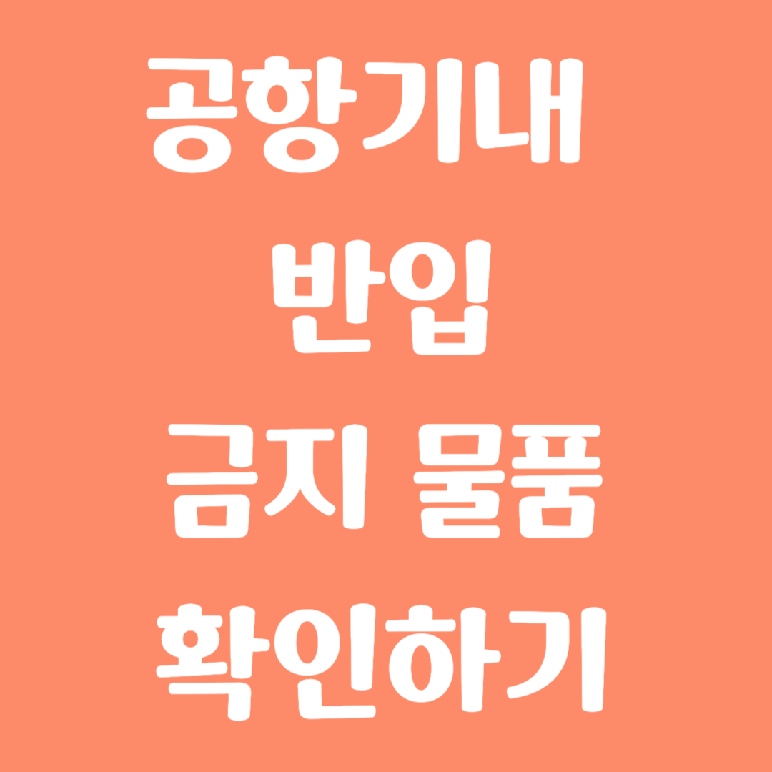 공항 기내 반입 금지 물품 확인하기