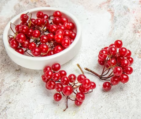 마가목 열매 효능