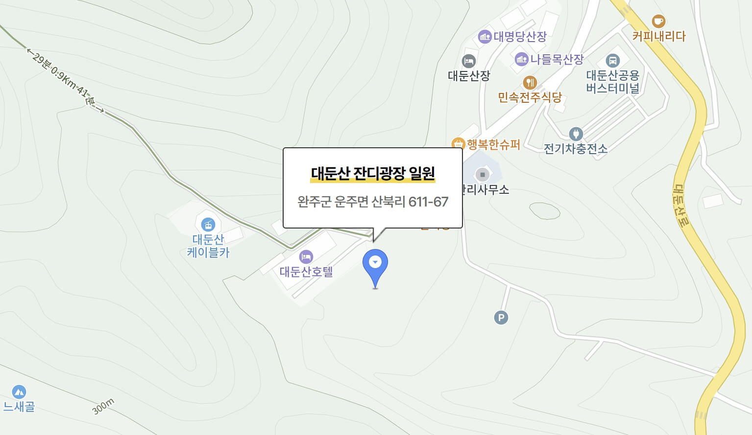 완주 대둔산 축제