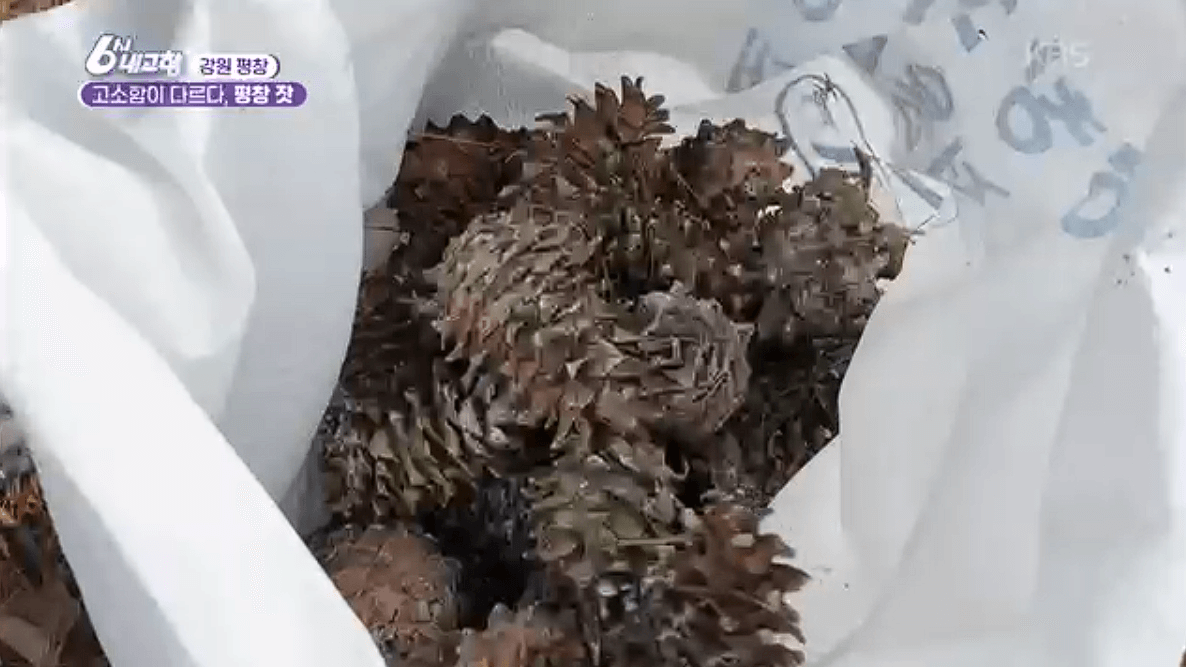 [6시내고향]강원도 평창 고급 잣 &amp;#39;평창잣농원 영농조합법인&amp;#39; 택배 배송 연락처 정보 