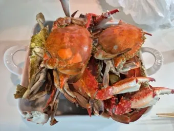 6월 꽃게 금어기 정확한 일정과 유통 제한 상세 정보 총정리_18