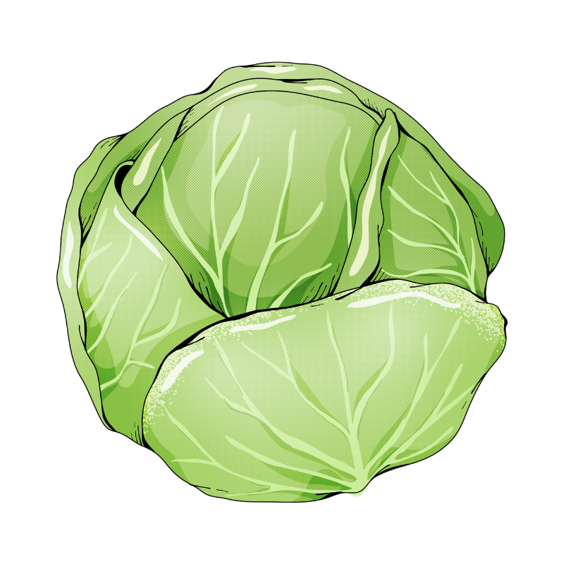 골다공증에 좋은 음식