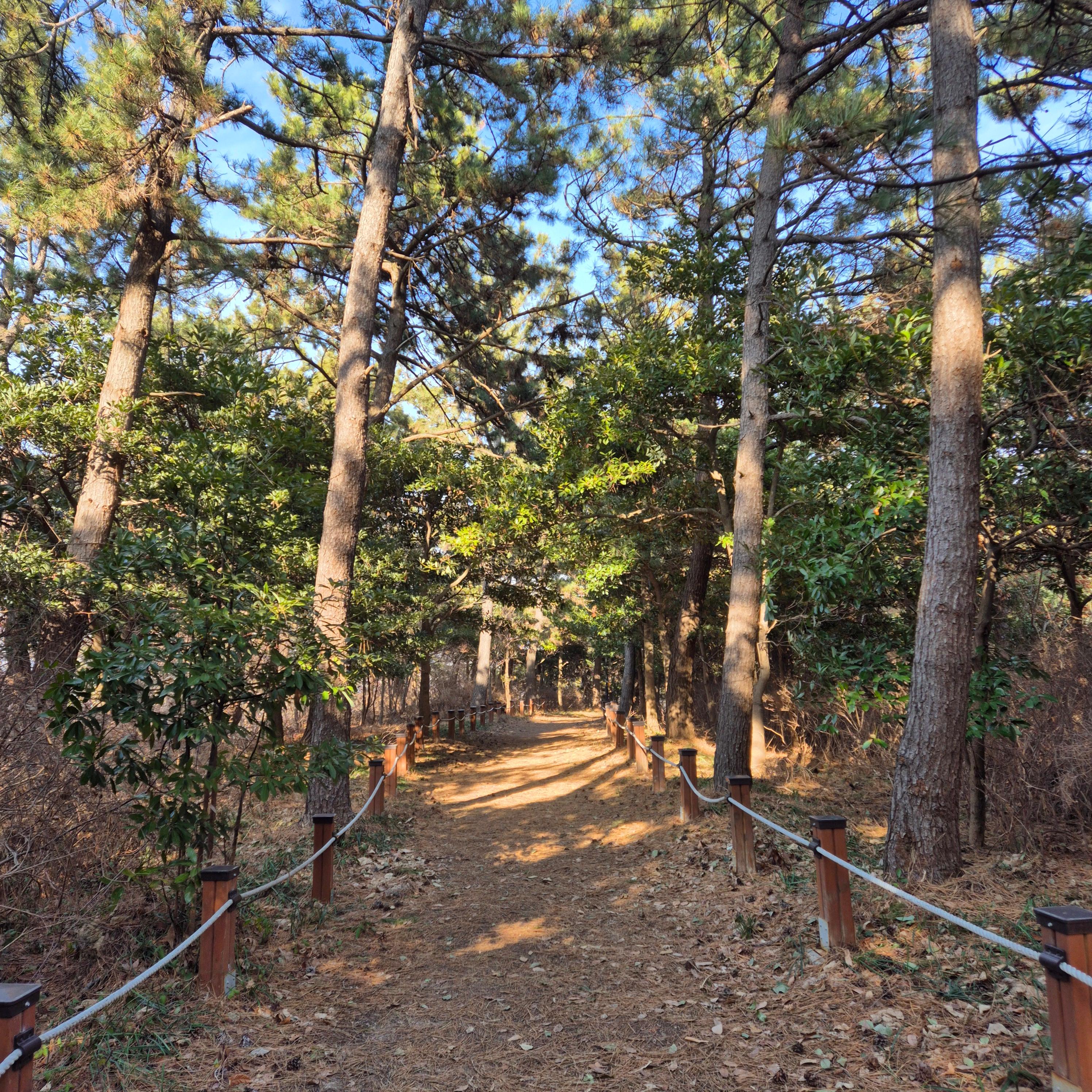 배에 가스가 자주 차고 냄새나는 방귀가 계속