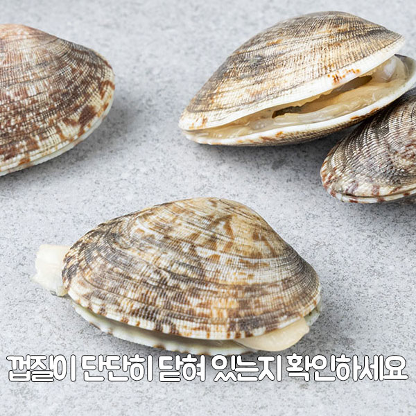 껍질이 단단히 닫혀 있는지 확인하세요