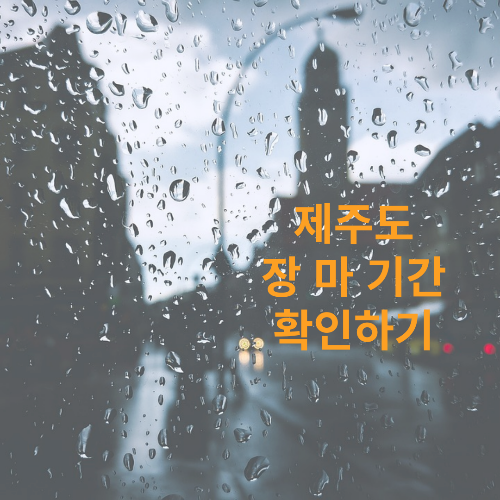 제주도 장마기간