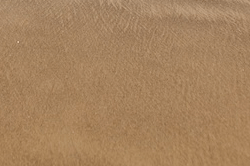 Tile 15