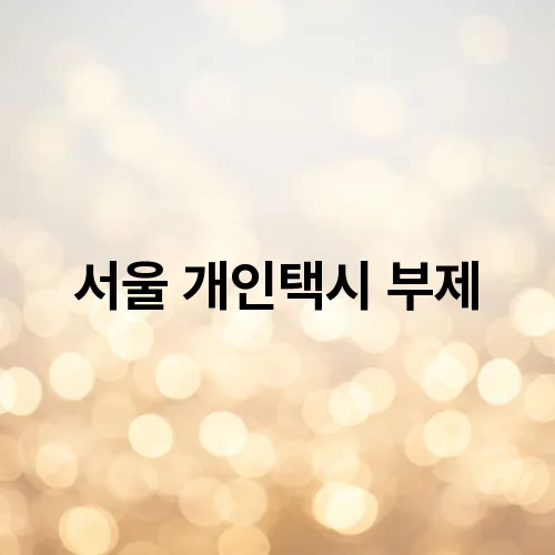 서울 개인택시 부제