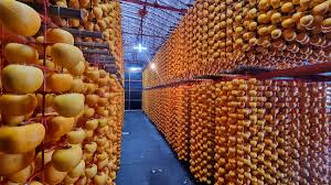 상주곶감축제 기본일정과 프로그램 그리고 초대가수 소개(박서진 김연자 출연)