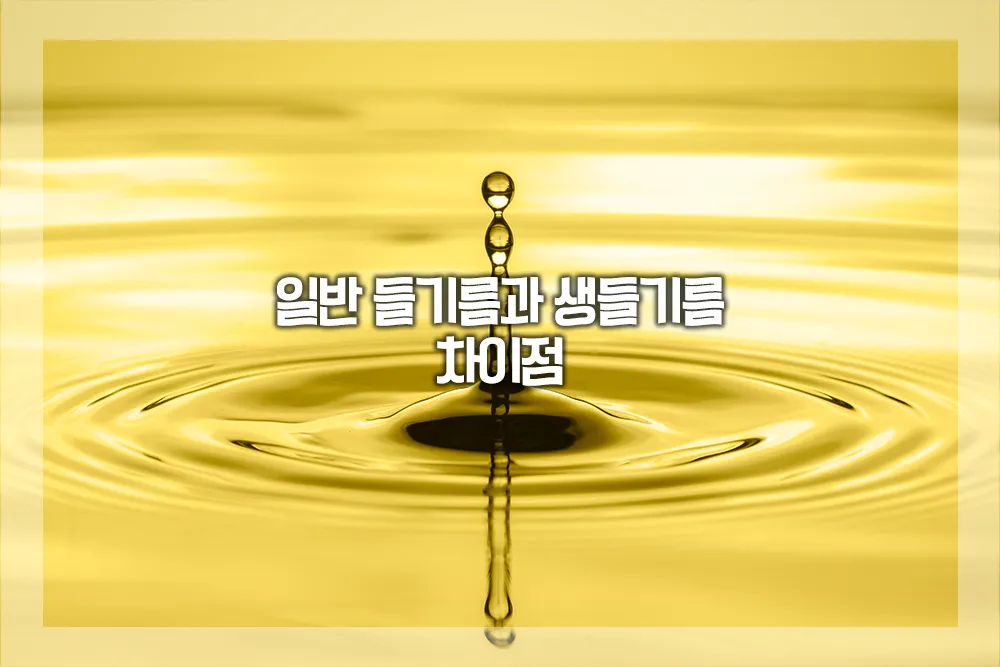 일반 들기름 생들기름 차이점