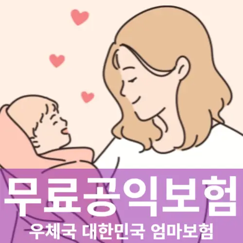 무료 공익보험 대한민국 엄마보험