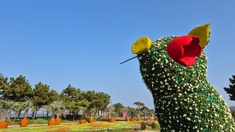 태안 튤립축제