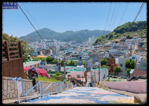 모래에도 꽃이 핀다' 드라마