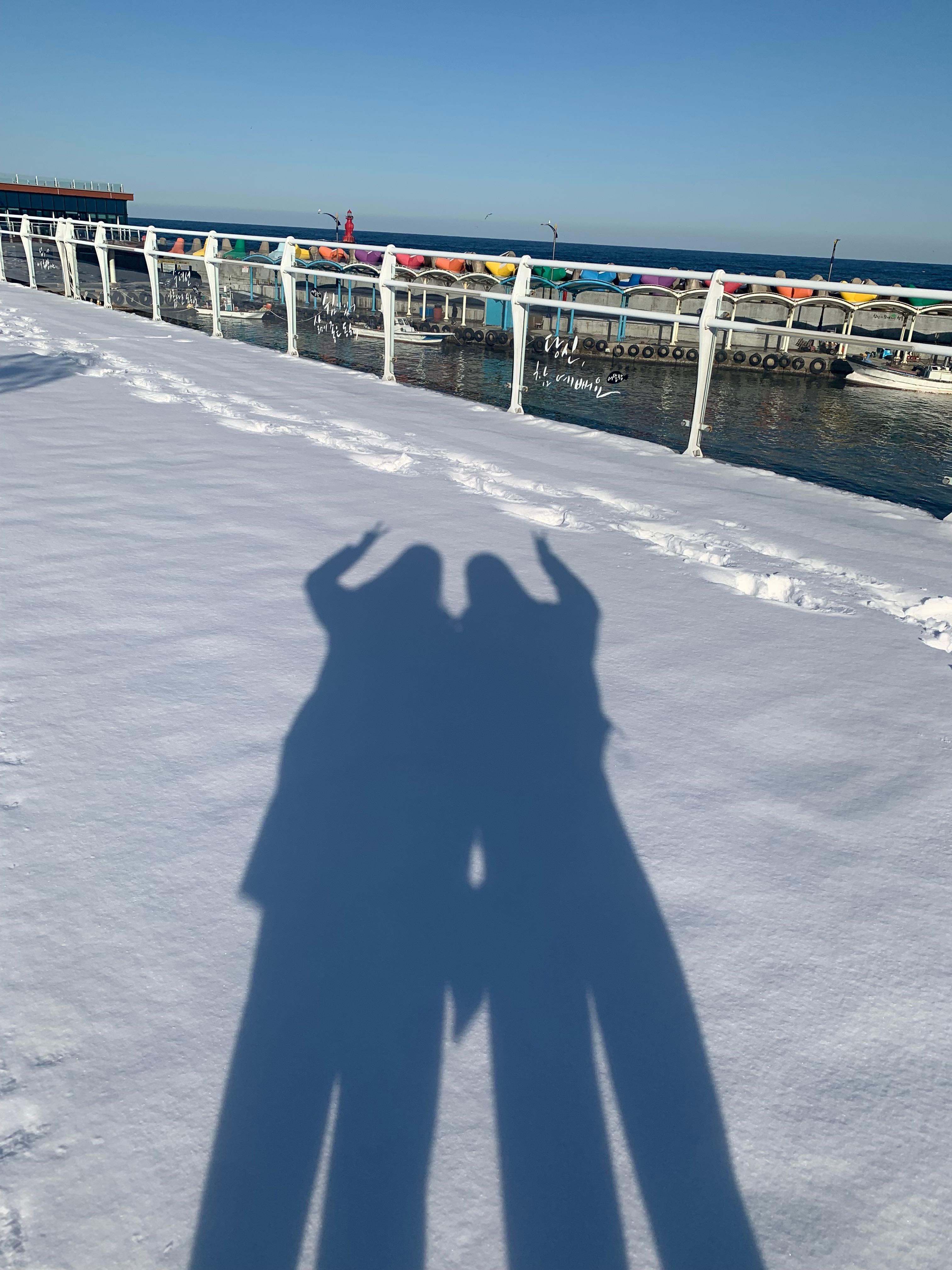 묵호 거북이횟집 곰치국 후기 내돈내산