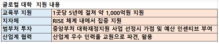 글로컬 대학 지원 내용