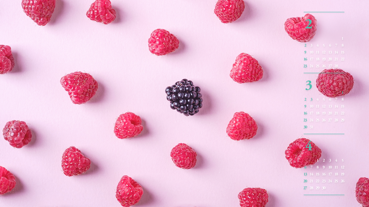 08 산딸기 B - 2025년3월 노트북배경화면