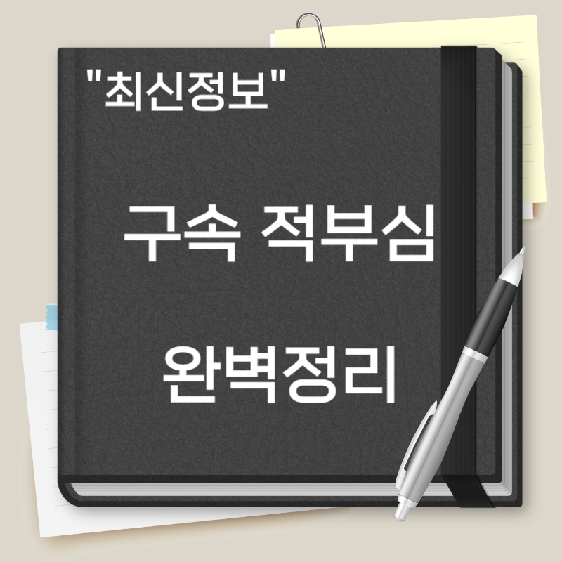 구속 적부심이란