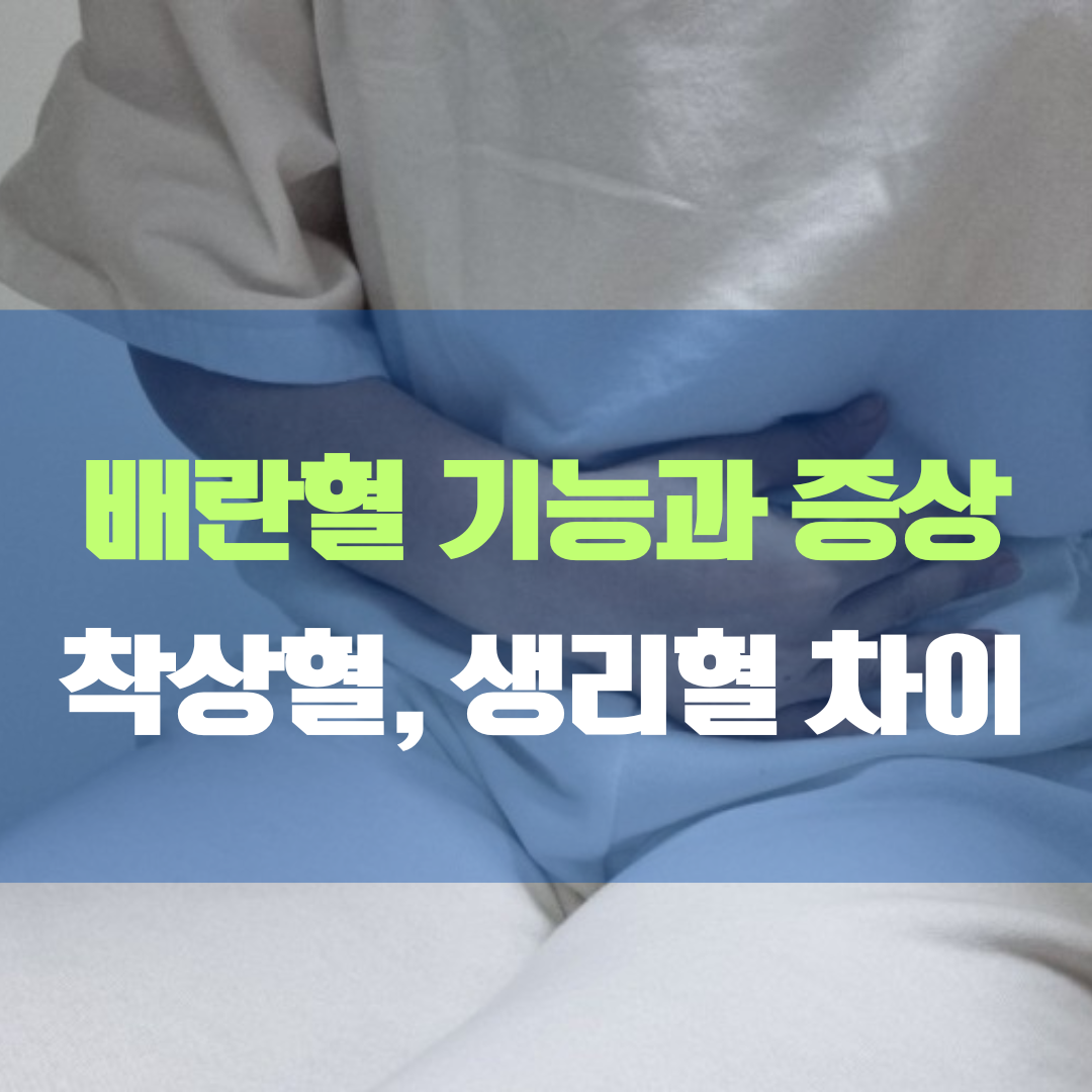 배란혈 기능과 증상에 대한 이해와 착상혈, 생리혈과의 차이점