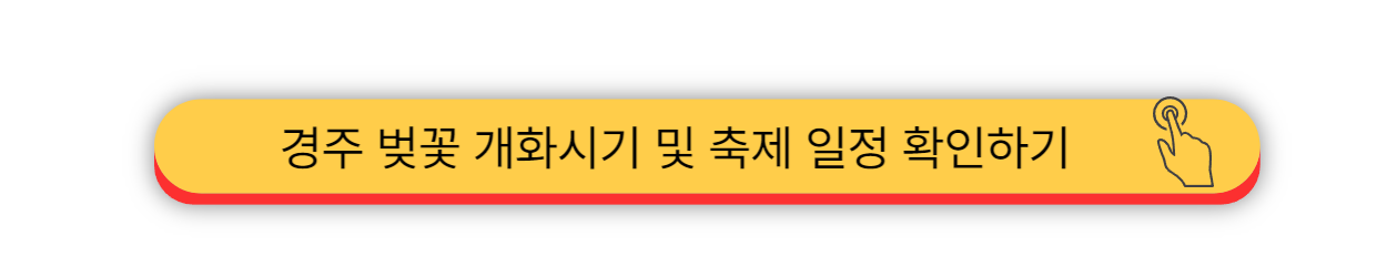 2025 - 부산의 벚꽃 개화시기