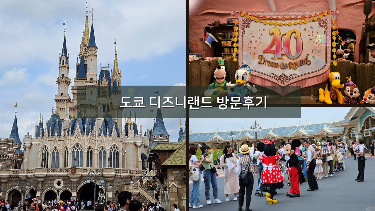 도쿄 디즈니랜드 티켓 가격 패스트트랙 어플 DPA 미녀와 야수 인기 어트랙션 후기