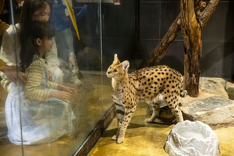 주렁주렁 동물원 경주점