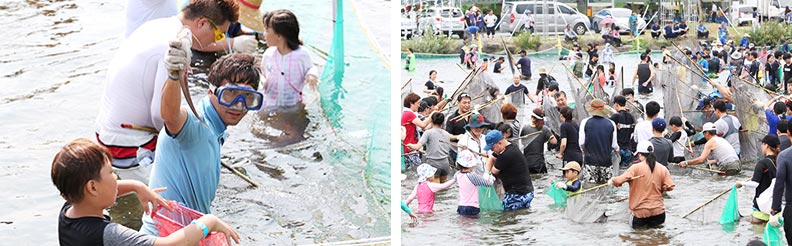 장흥 물축제