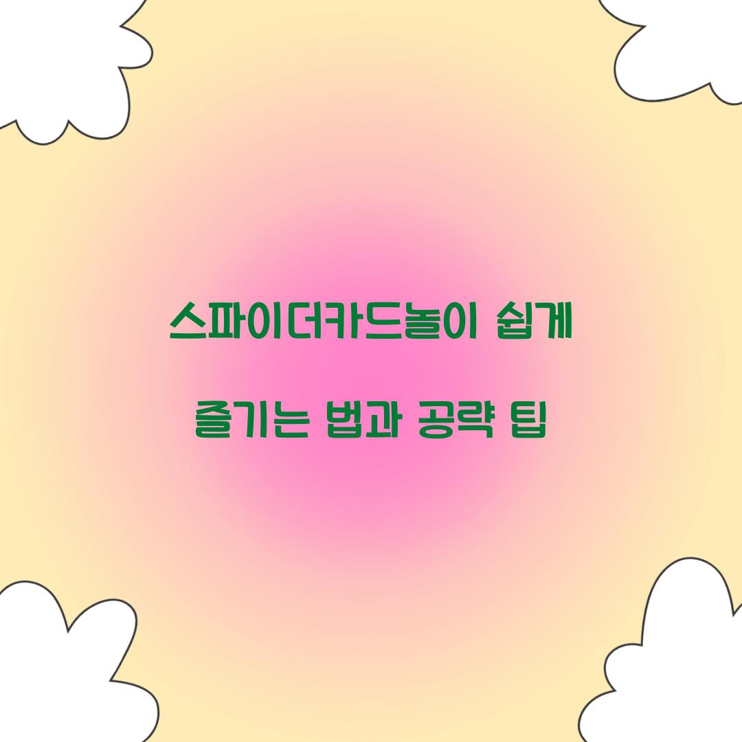 스파이더카드놀이