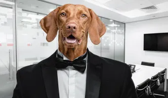 네글자 동물이름과 어려운 동물이름 모음 정리_7