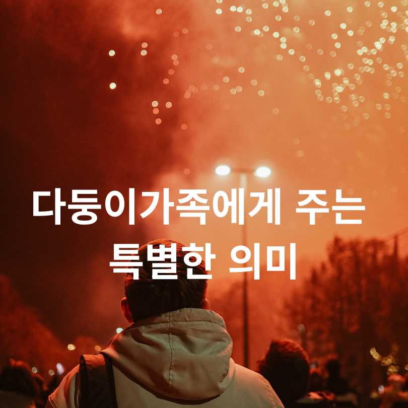2025 서울세계불꽃축제 노들섬 특별관람석