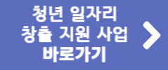 청년 일자리 창출 지원 사업 바로가기