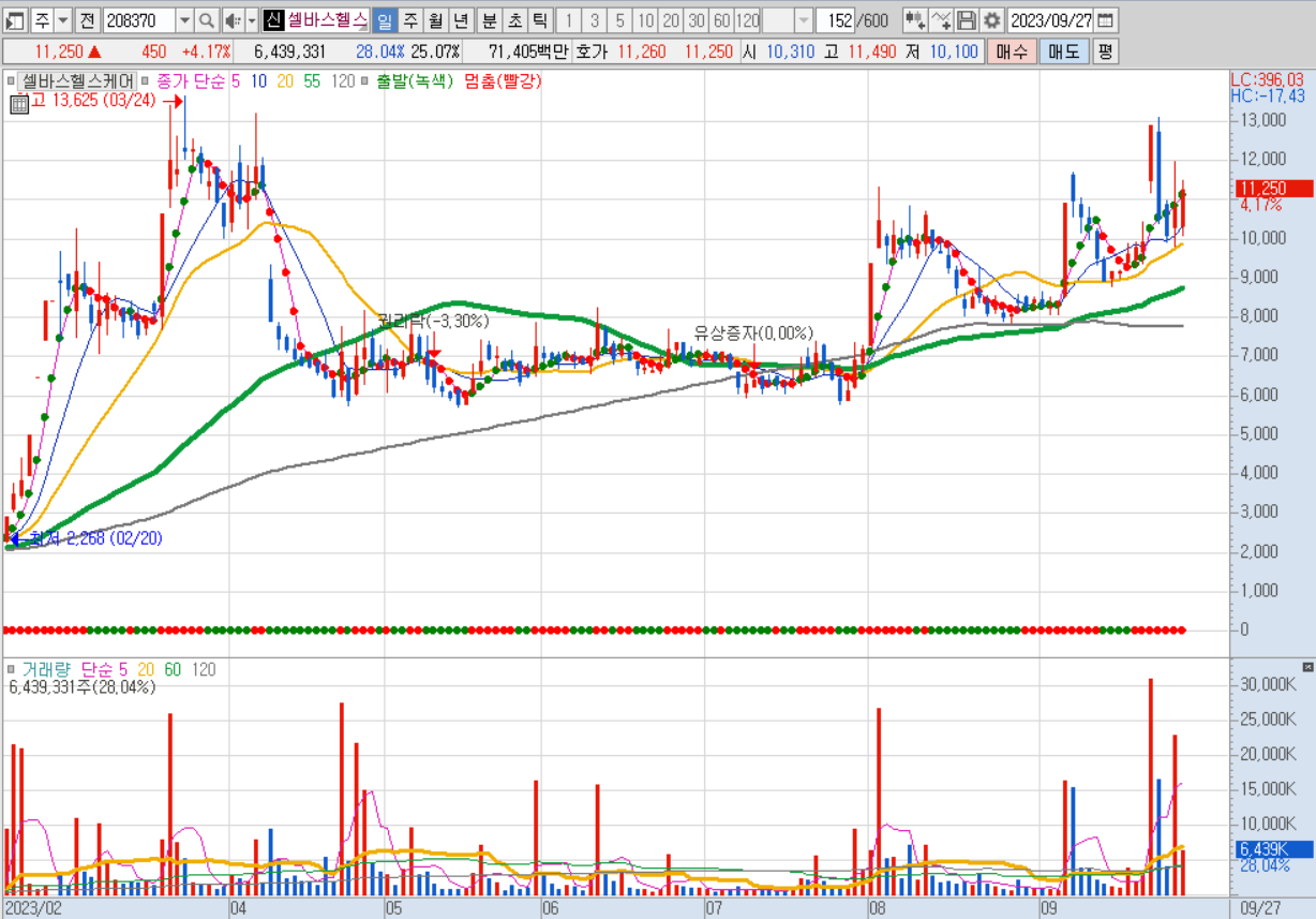 셀바스헬스케어 주가전망, 일봉차트